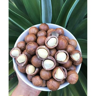 HẠT MẮC CA SẤY LOẠI 1