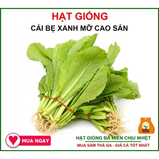 Giống cải bẹ xanh mỡ phú nông 50gr
