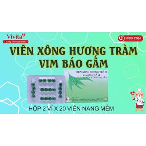 Viên Xông Vim Hương Tràm Báo Gấm Vien xong cam Bao Gam H40v