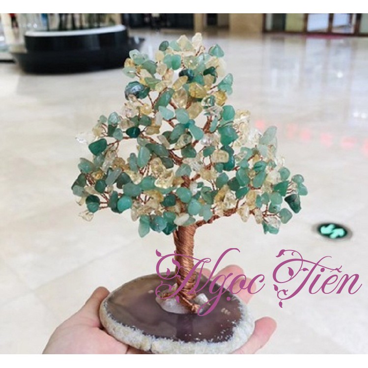 Phụ kiện làm cây tài lộc