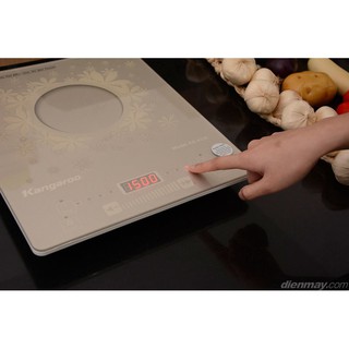 Bếp từ Kangaroo KG419i