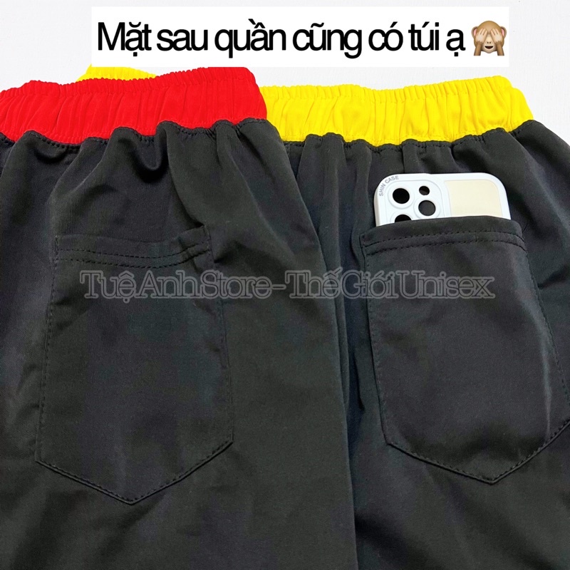 Quần Đùi Thể Thao Nam Nữ Chất Poly 2 Da cao cấp sịn đẹp có 3 size M-L-XL ( 38-78kg ) - Quần Short V Phối 2 Sọc Unisex
