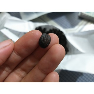 Combo 100g dổi 100g mắc khén