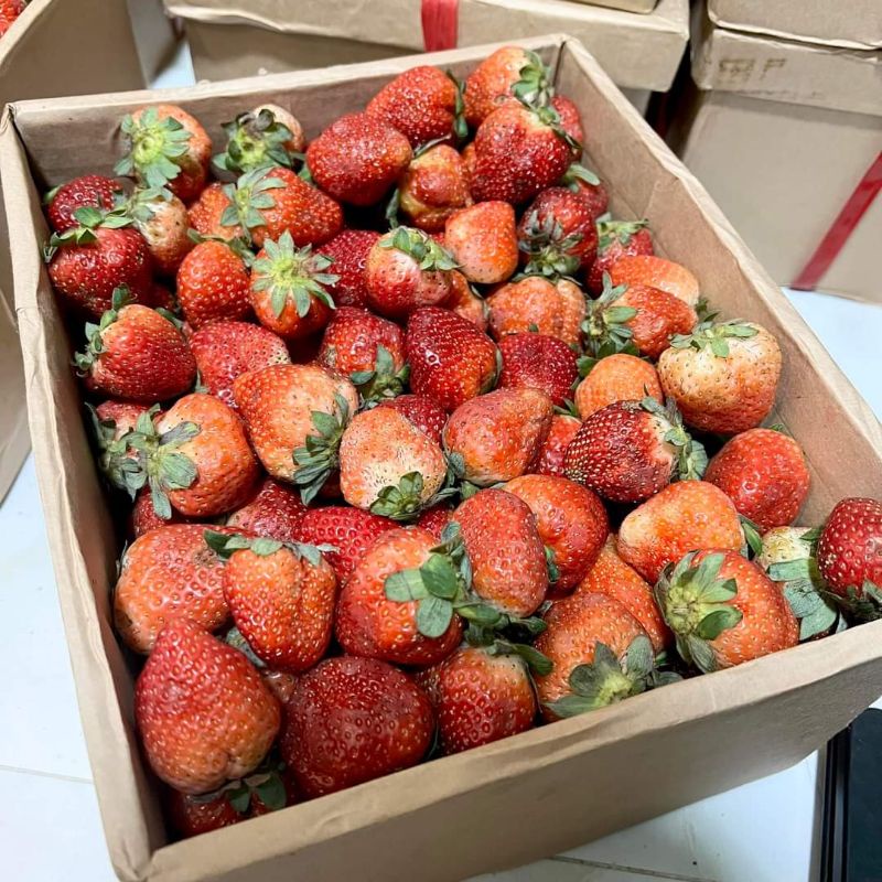 Hộp 3kg dâu tây Mỹ đá Size NHẤT nhà trồng