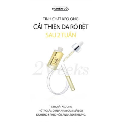 Set dưỡng Essence Ampule Keo ong CNP propolis essence ampule cho da nhạy cảm