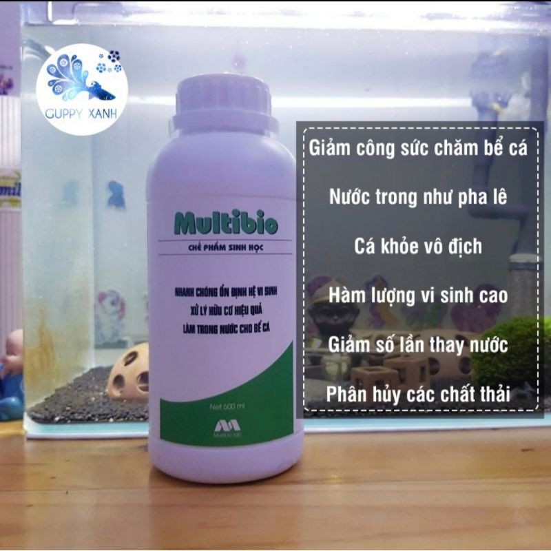 Vi Sinh Làm Trong Nước Nhanh Cho Hồ Thủy Sinh Và Cá Cảnh - Multibio