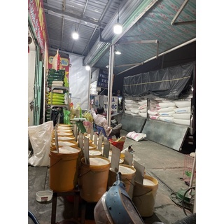 Nếp Thái Loại 1 (Dẻo Mềm Thơm Cơm 1Ký)