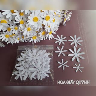 Cánh cúc họa mi nhiều size cắt sẵn