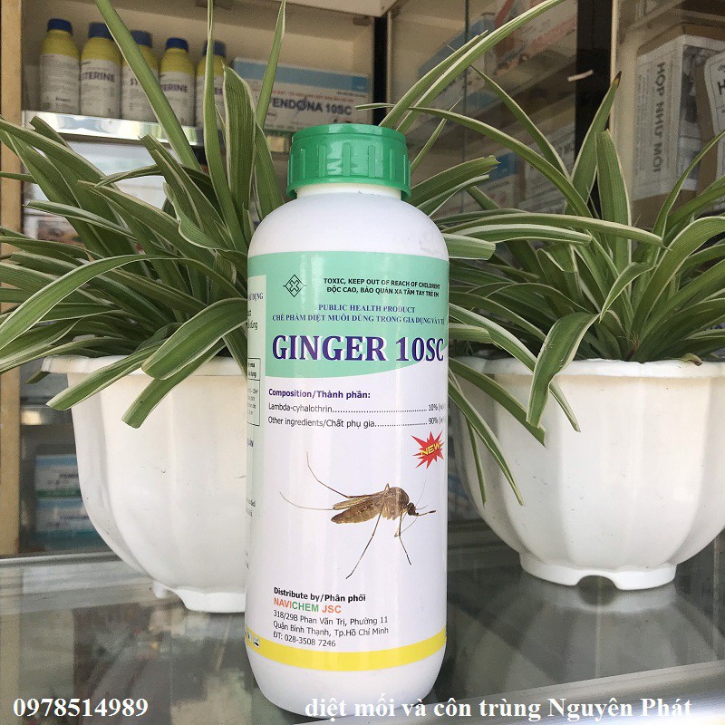 Ginger 10SC - Thuốc diệt muỗi giá rẻ, nhập khẩu Ấn Độ