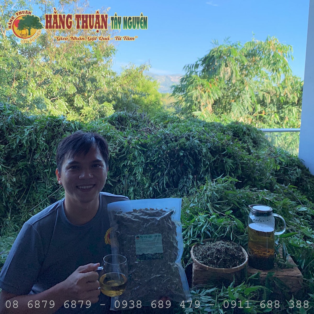 Trà Đinh Lăng Sấy Khô Hằng Thuận Tây Nguyên - Giúp Thanh Lọc Cơ Thể, Ngủ Ngon