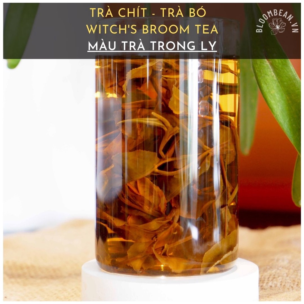 Trà Chít  -  Trà Shan Tuyết hữu cơ - Bloombean