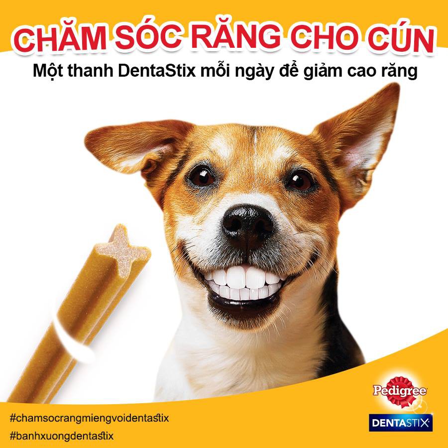 Bánh xương gặm cho chó con Pedigree Dentastix 56g, snack sạch răng cho cún nhỏ Con Mèo Xiêm