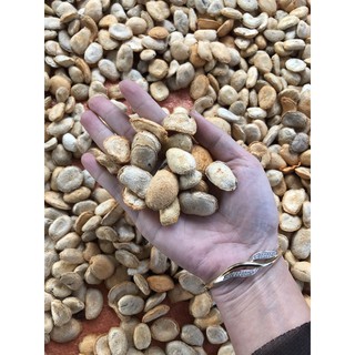 Combo 200 hạt sành( sang ) rưng chỉ 999k