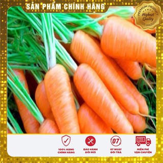 Hạt Giống Cà Rốt Nhật F1(100 hạt)