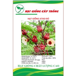 Hạt giống cây bụp giấm ct222 - gói 10 hạt