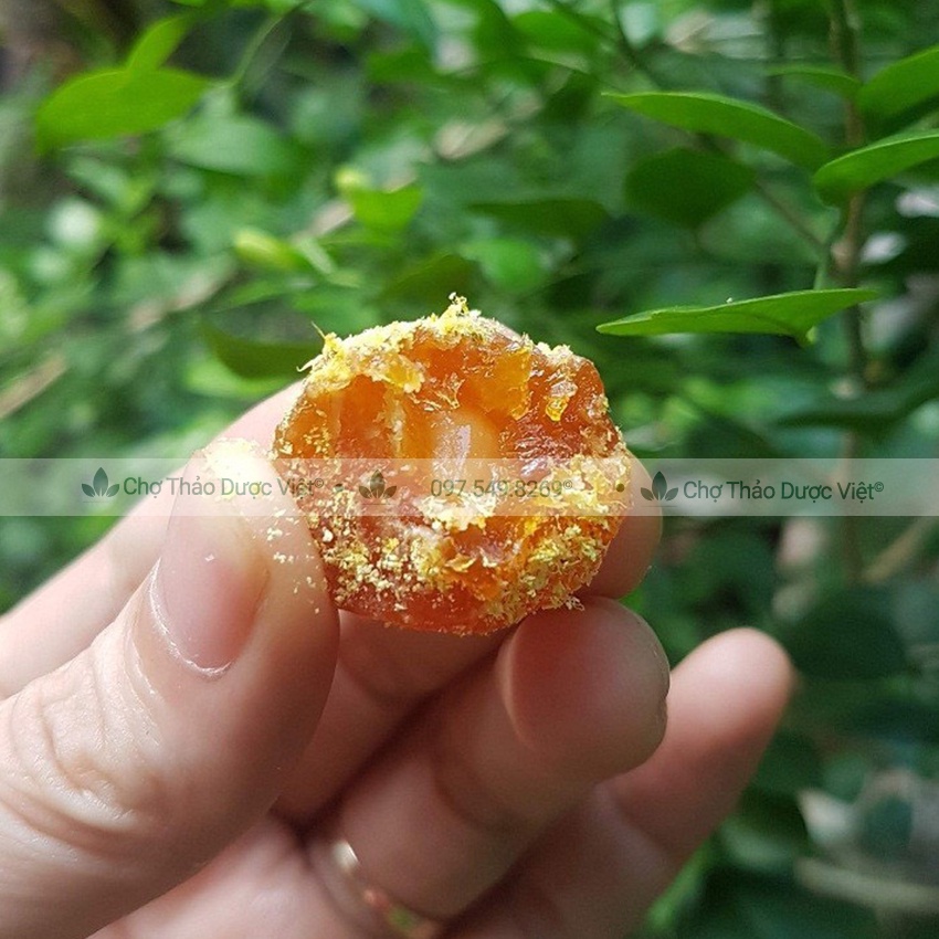 Ô mai mơ nho gừng sấy dẻo chua, ngọt thơm ngon 100g - Chợ Thảo Dược Việt