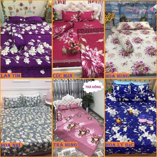 HCM Bộ ga gối poly Drap 1m6x2m mã hàng M07