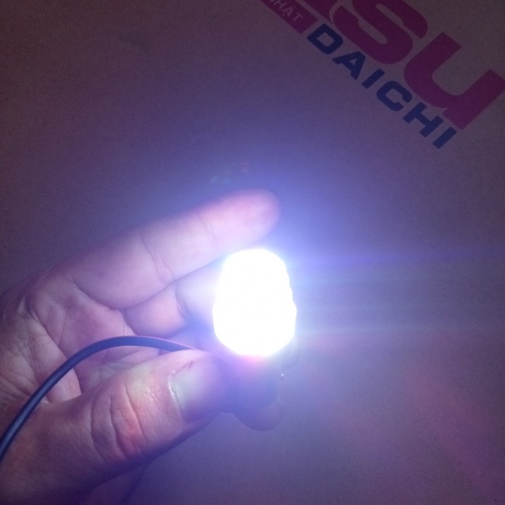 Bóng Hậu LED Nháy F1 + Đổi Hiệu Ứng 7 màu Mẫu Mới Sáng Mạnh