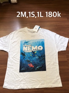 Áo nam auth zara