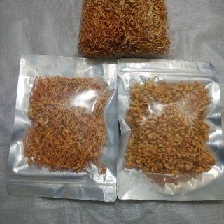 Đông trùng hạ thảo