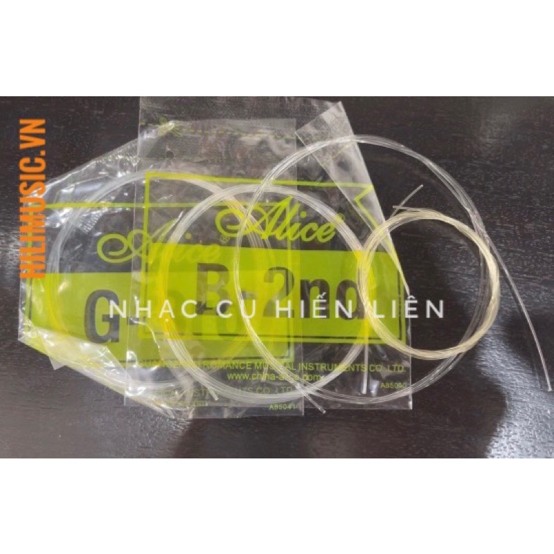 Bộ dây đàn Tỳ Bà