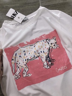 Sét áo cotton+ quần bagyy
