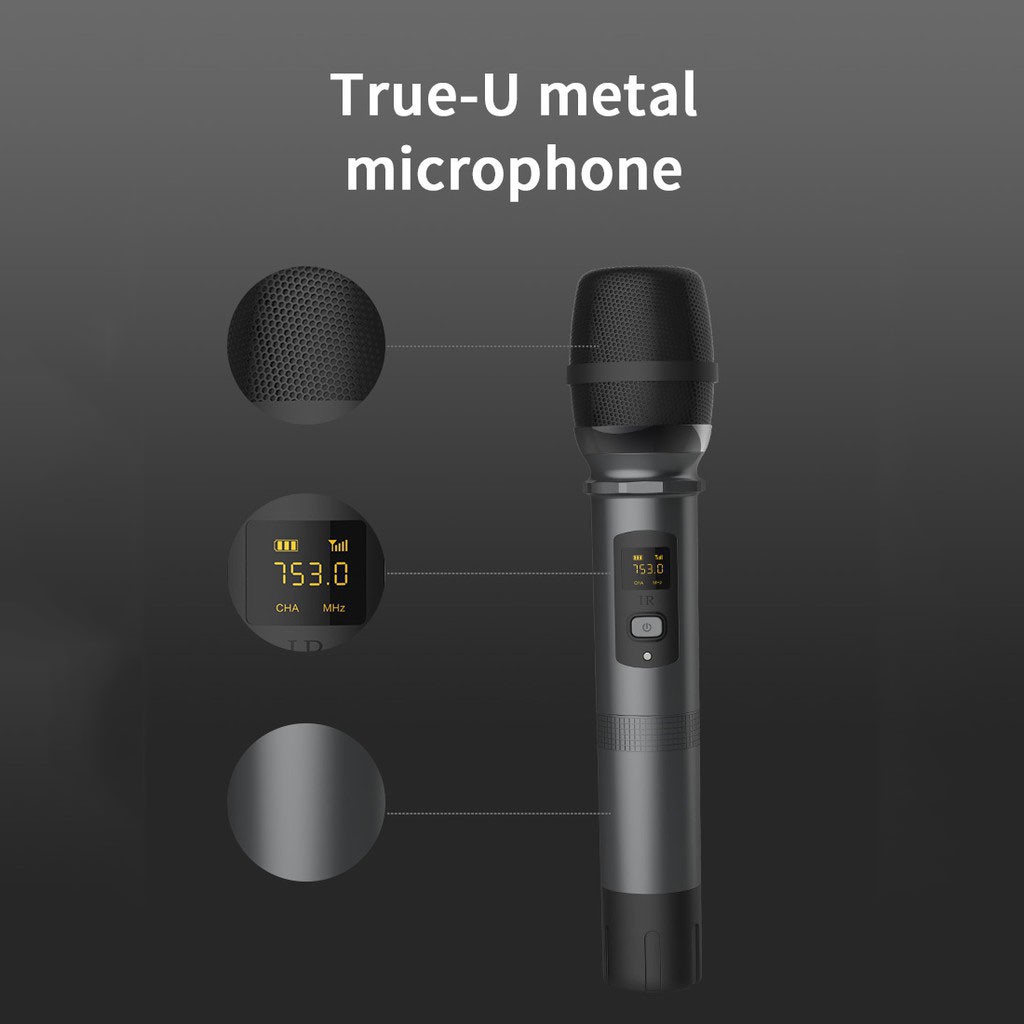 Loa karaoke WKing K9 xách tay, bluetooth, tặng kèm 2 micro không dây, công suất 100W