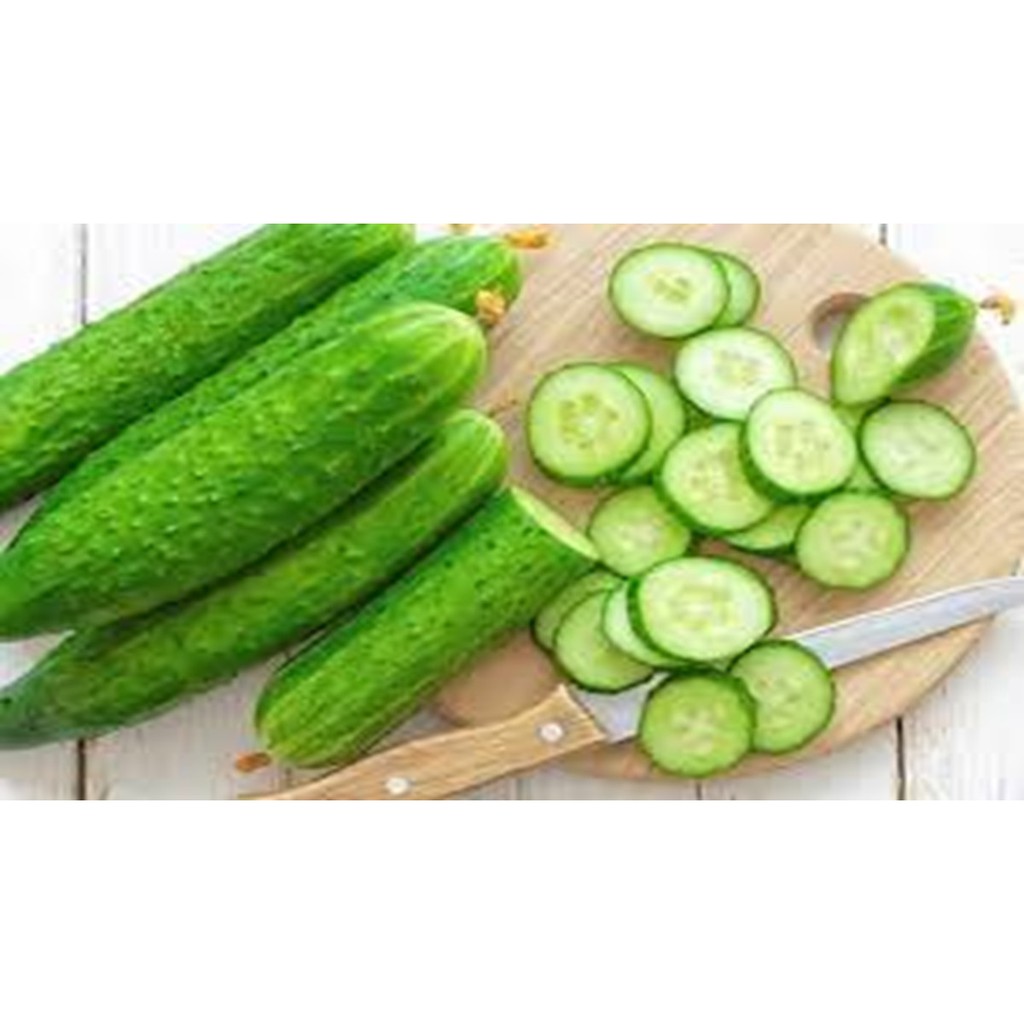 dưa leo, dưa chuột sạch rẻ 25k [500gr] dưa leo