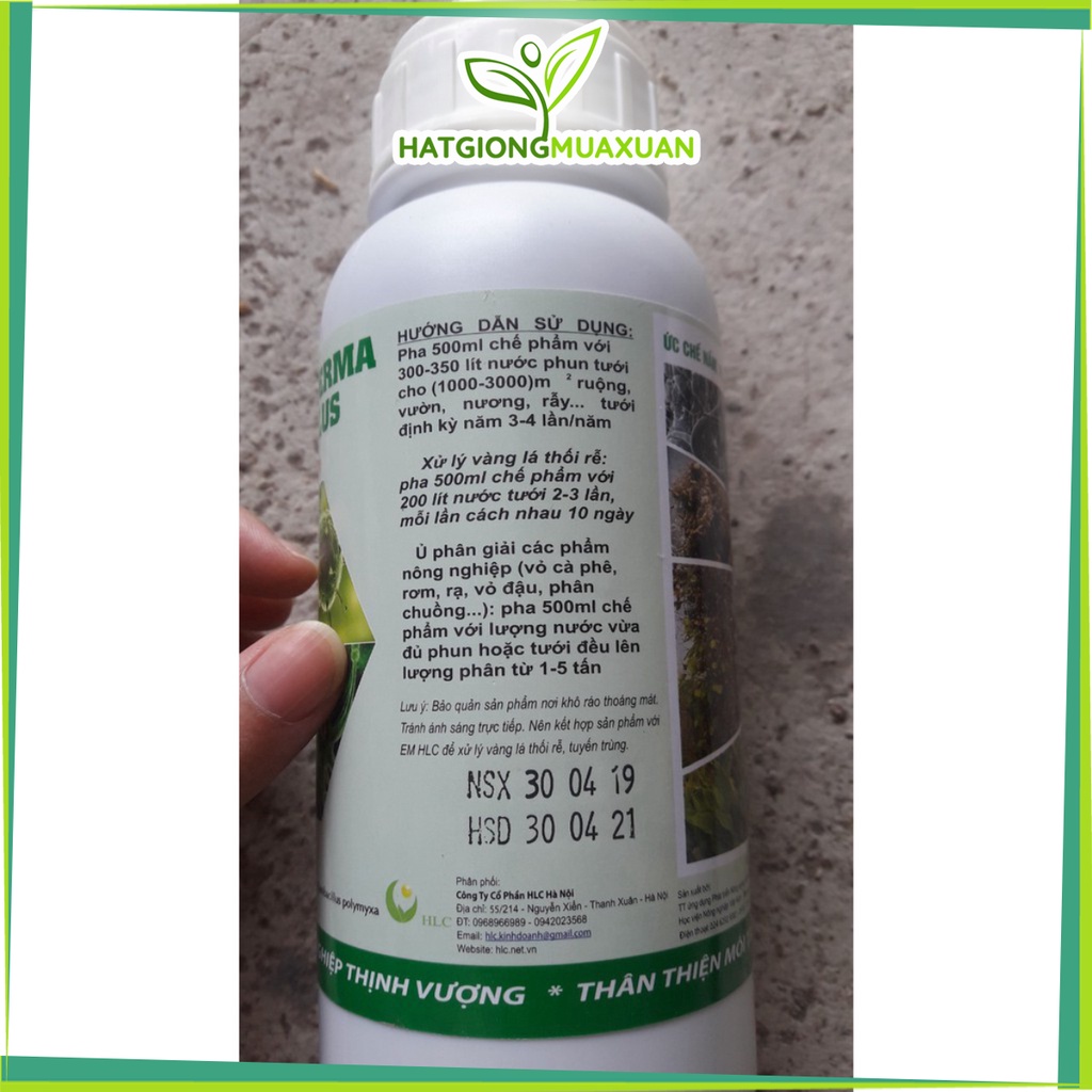 [SIEURE] Nấm đối kháng Trichoderma hàng đẹp, phân phối chuyên nghiệp.