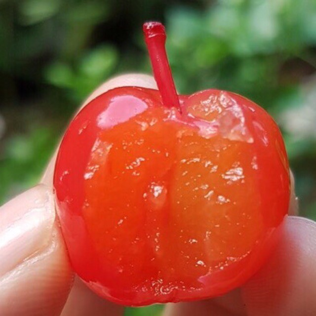 Quả anh đào đỏ giòn thơm 500gram