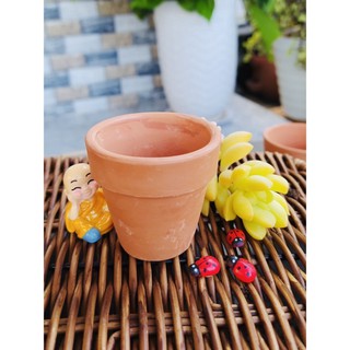 Chậu Đất Nung trồng Sen Đá