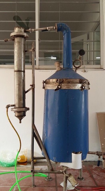 Tinh dầu bưởi xịt tóc tự nhiên kích thích mọc tóc 1 chai 100ml | BigBuy360 - bigbuy360.vn