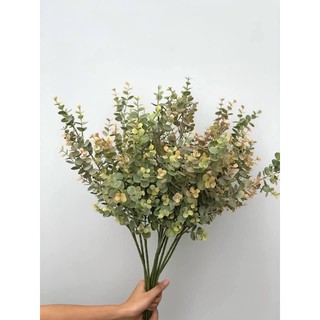 Lá táo điểm cao cấp