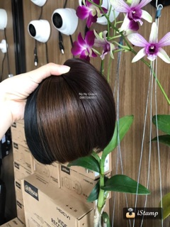 Tóc giả mái ngố dầy