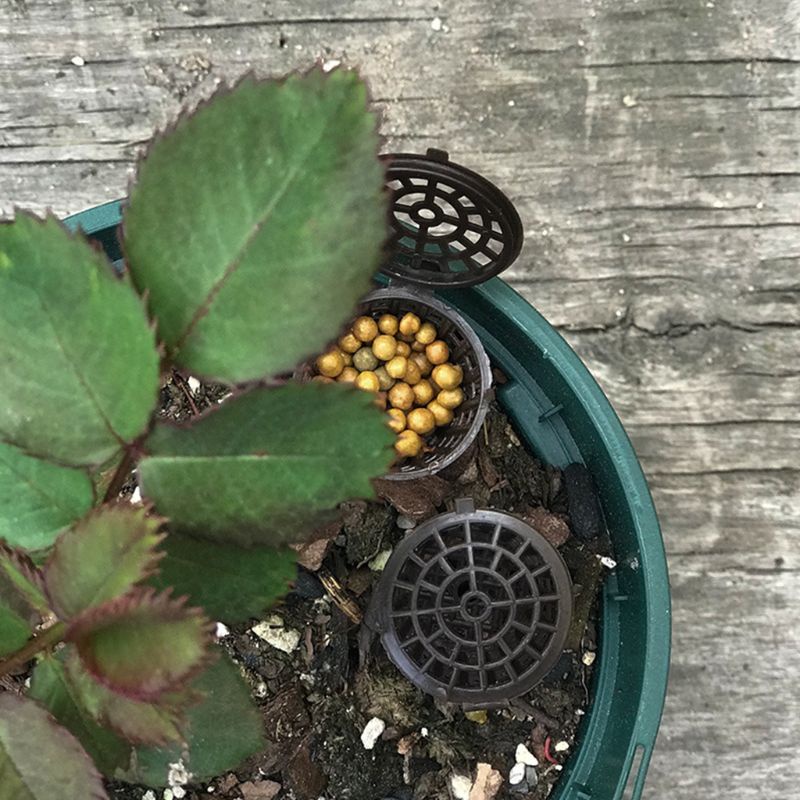 Set 100 Giỏ Trồng Cây Có Nắp Đậy Tiện Dụng Cho Bể Cá