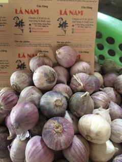 1kg tỏi cô đơn ta