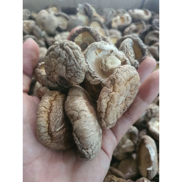 Nấm đông cô khô, dày, sáng da, trắng, đẹp 👉 Giàu đạm thực vật 👉 Chay, Mặn đều nên dùng