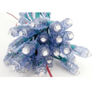 LED Đúc F5 đế 8mm -  5V (50 Bóng/Dây)
