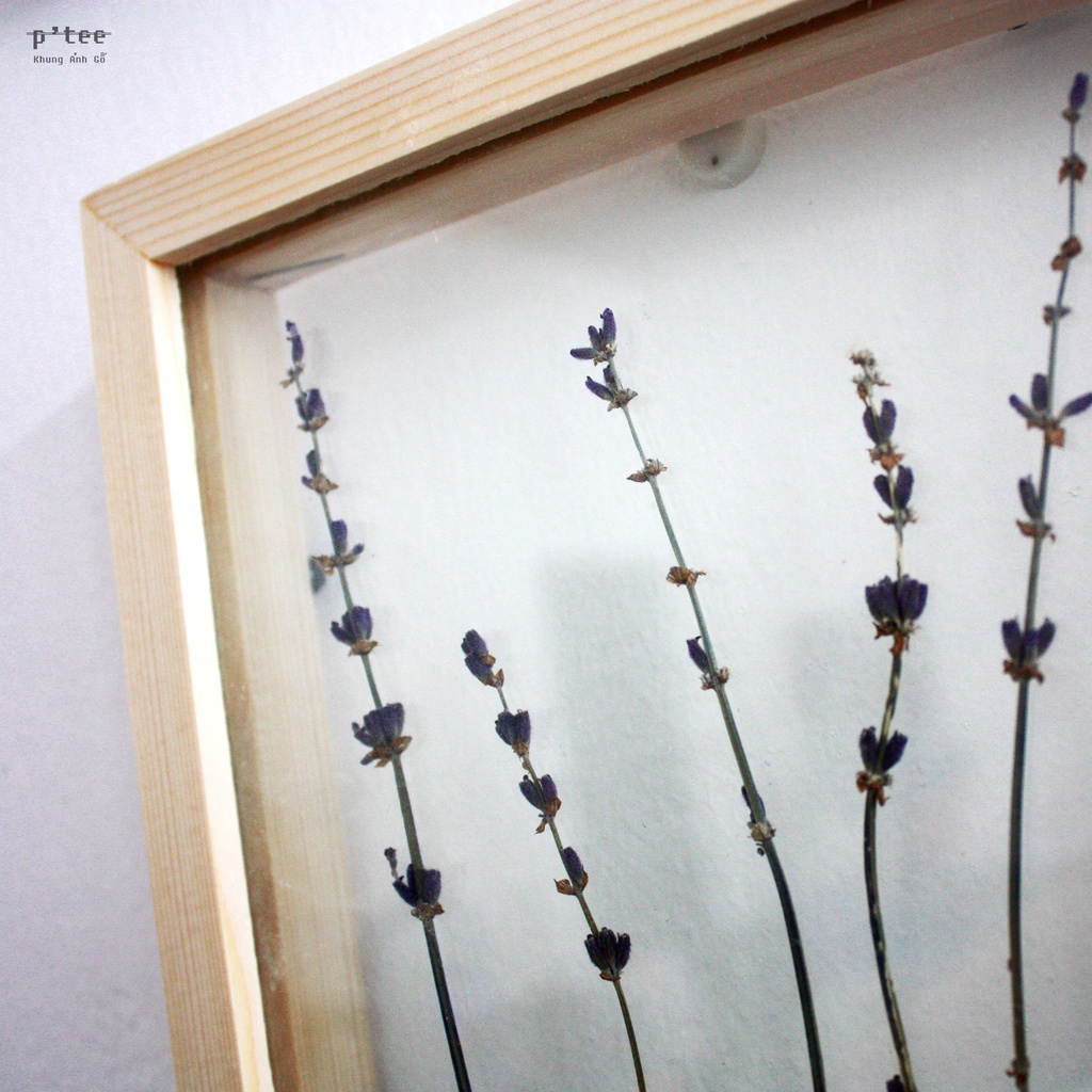 Khung ảnh gỗ 20x20 2 mặt kính - Khung hình gỗ thông mặt kính trang trí handmade hoa khô treo tường Woodframe by P'Te
