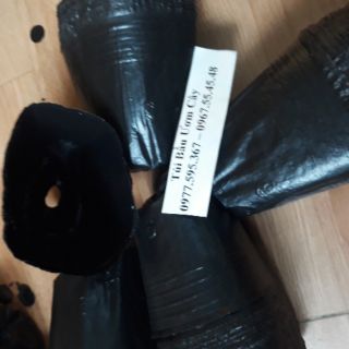 Bầu ươm cây giống 9x9 1kg 800 cái