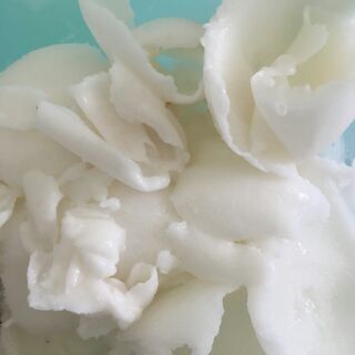 Dừa Sáp Ngọc Tiên