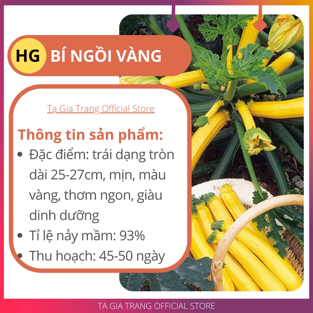 Hạt giống bí ngồi vàng - Gói 1g (10-15 hạt)
