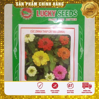 HẠT GIỐNG HOA CÚC ZINNIA THẤP CÂY (50 HẠT)