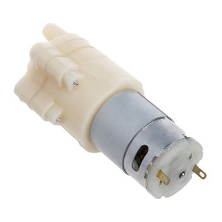 Động Cơ Bơm Nước Mini 12v