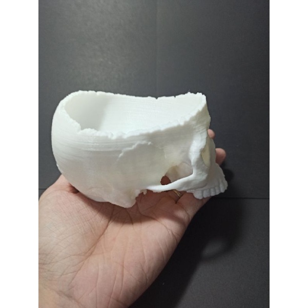 Mô hình đầu lâu dạng lõm, tô đầu lâu trang trí kinh dị, halloween dài 13cm