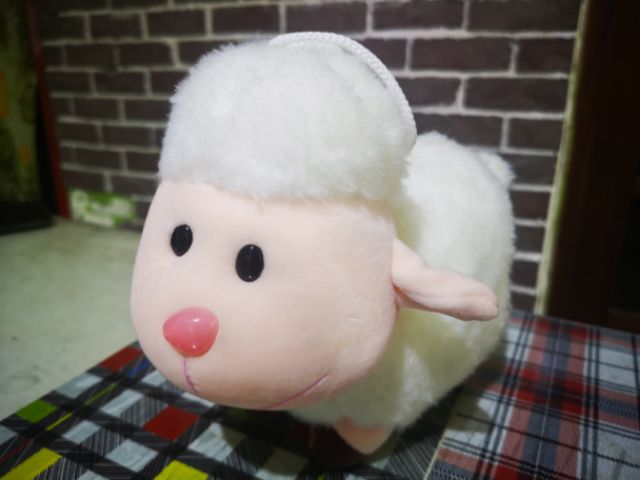 Cừu bông xinh xắn