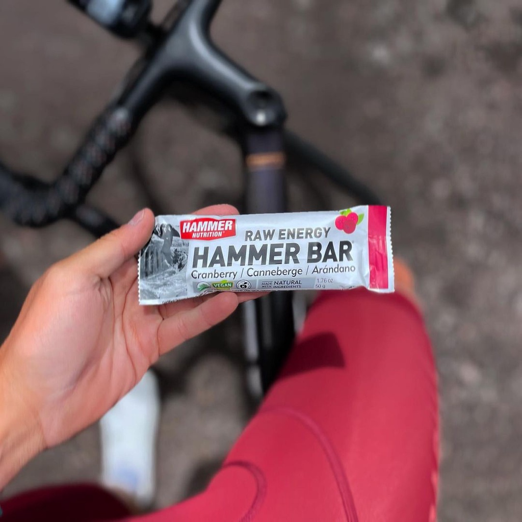 Thanh Năng Lượng Hammer Bar - Bổ sung năng lượng tăng độ bền, khả năng hồi phục khi tập luyện, thi đấu thể thao.