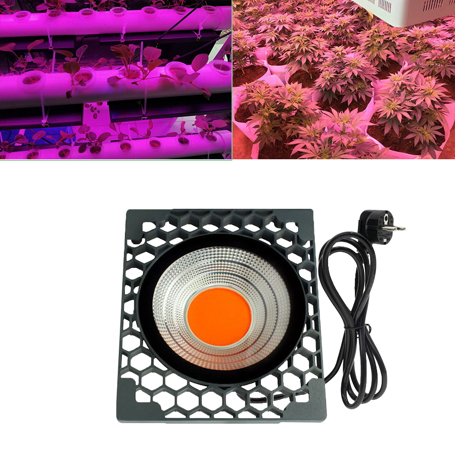 50W LED Grow Light COB Đèn LED trồng đầy đủ Quang phổ 500W Đèn Phyto Hiệu suất phát sáng cao cho cây trồng Lều Nhà kính