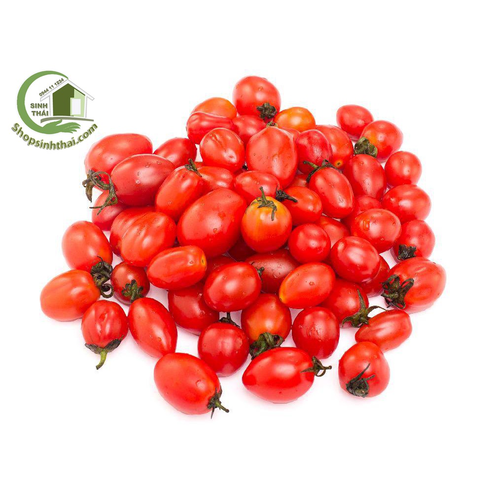 Hạt Giống Cà Chua Bi - Nảy Mầm Cực Chuẩn