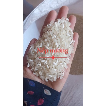 Gạo nếp nương điện biên - ngon, dẻo sạch chuẩn 100%. gói bánh trưng, đồ xôi, quà biếu